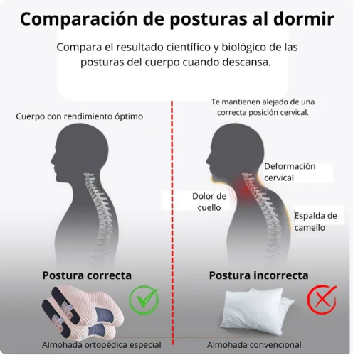 Almohada Ortopédica 3d Con Alineación Cervical Perfecta